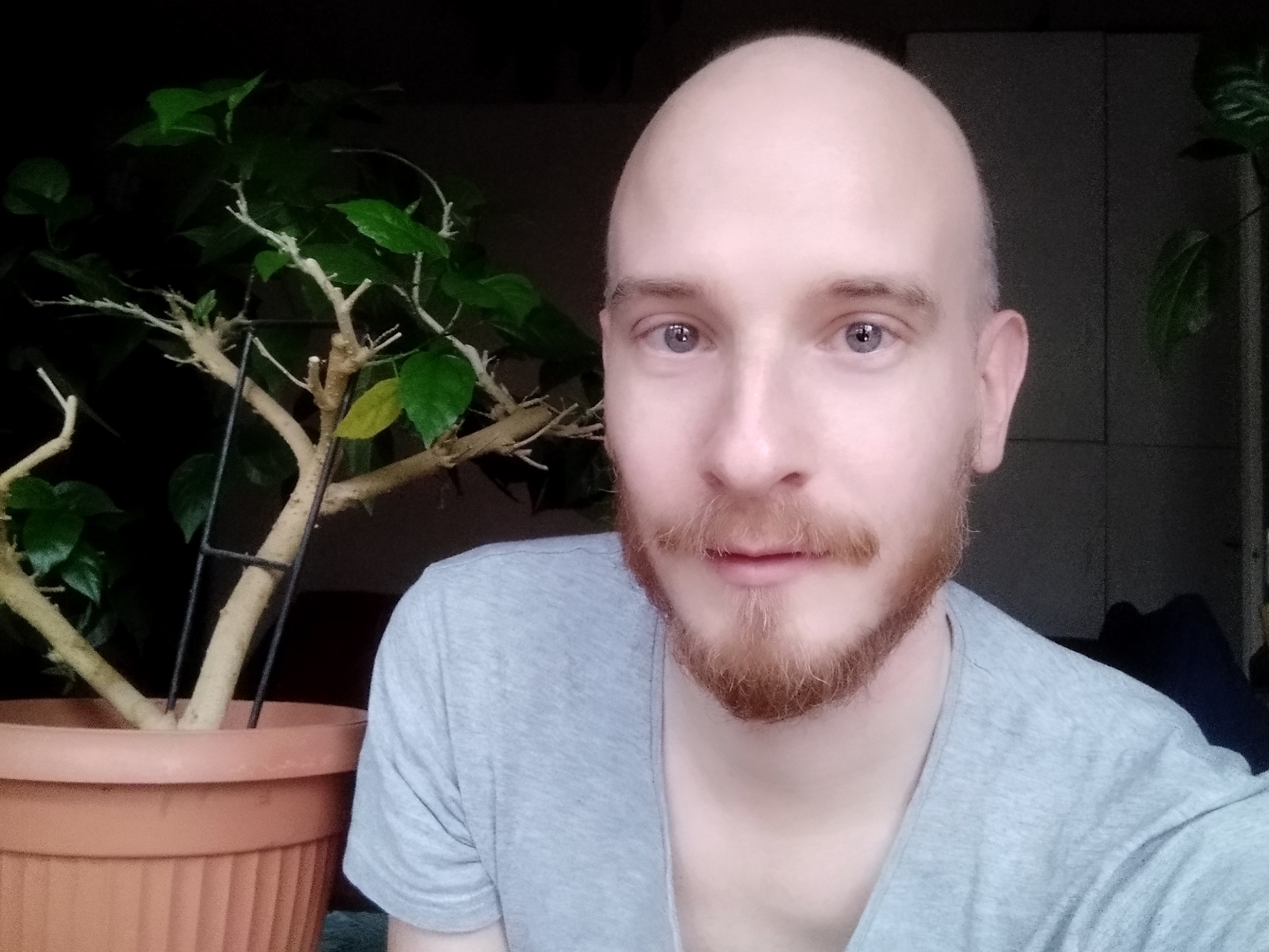 Balogh Tamás Balogh Tamás magántanár profilképe